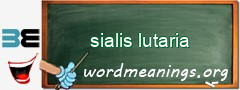 WordMeaning blackboard for sialis lutaria